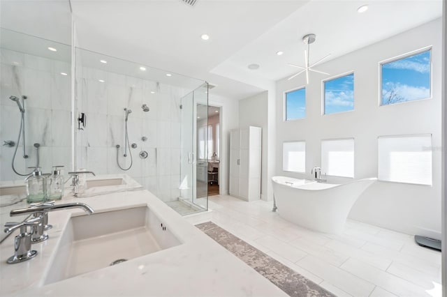 bathroom featuring double vanity, a shower stall, a freestanding tub, and a sink