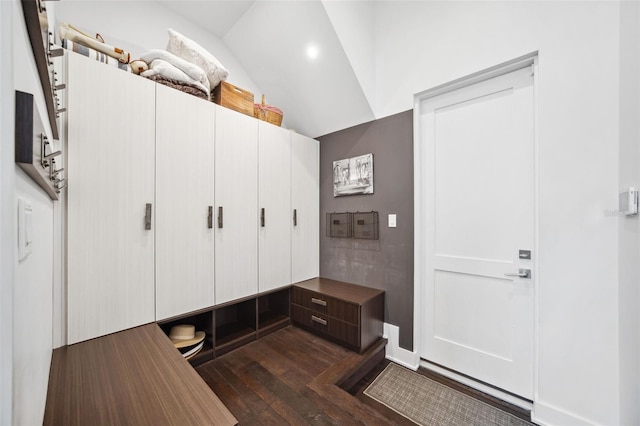 mudroom featuring vaulted ceiling and dark wood-style flooring