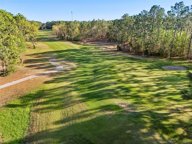 view of property's community featuring a lawn