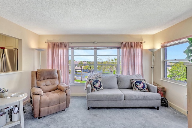 carpeted living area with baseboards, a textured ceiling, and a healthy amount of sunlight