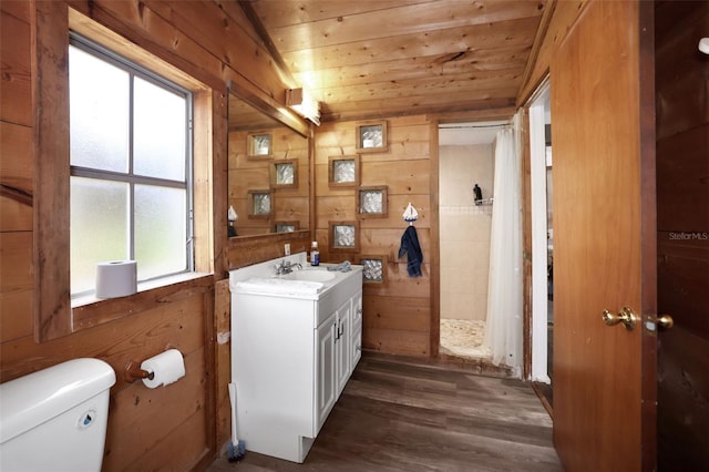 bathroom with wooden walls, wooden ceiling, toilet, and vanity