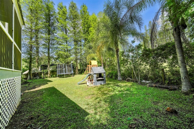 view of yard with a trampoline and a playground