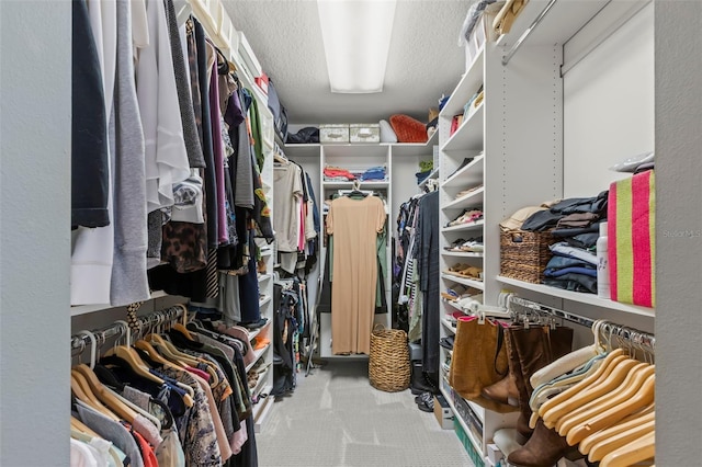 spacious closet featuring carpet flooring