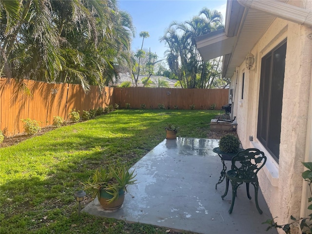 view of yard featuring a fenced backyard and a patio