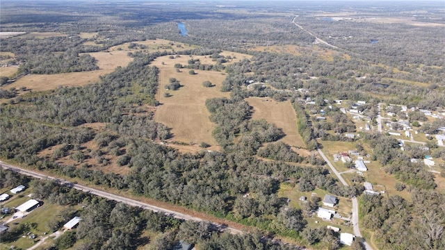 SW Boll Weevil Rd, Arcadia, FL 34266