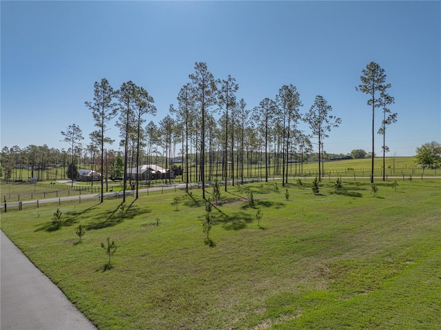 view of community with a lawn and a rural view