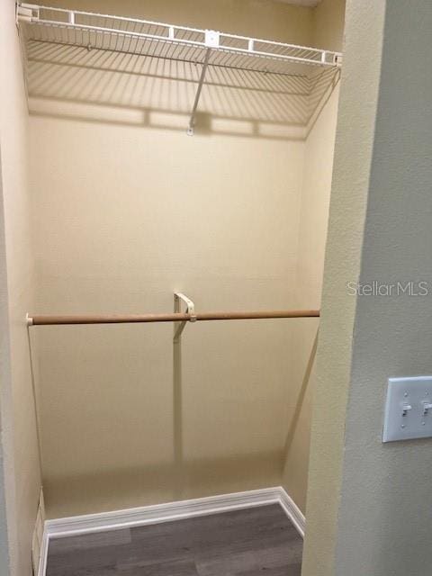 spacious closet featuring wood finished floors