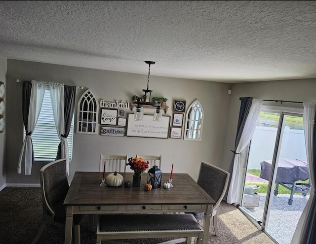 dining room featuring baseboards, carpet, and a textured ceiling