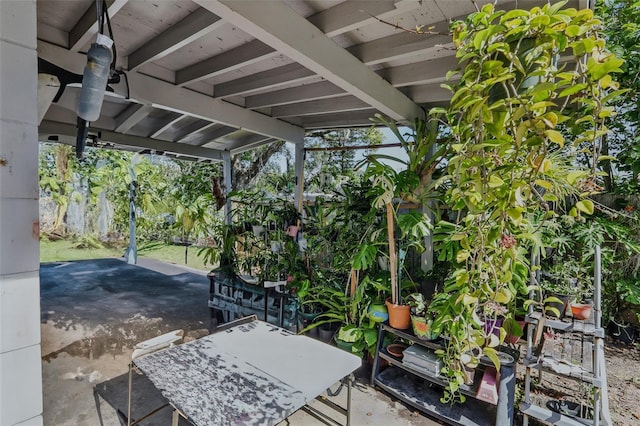 1211 E Camellia Dr, Brandon, FL 33510 - view of patio