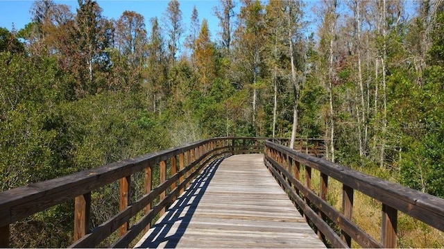 8780 Flourish Dr, Land O Lakes, FL 34637 - surrounding community with a view of trees