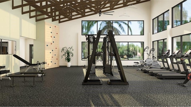 8780 Flourish Dr, Land O Lakes, FL 34637 - exercise room with high vaulted ceiling