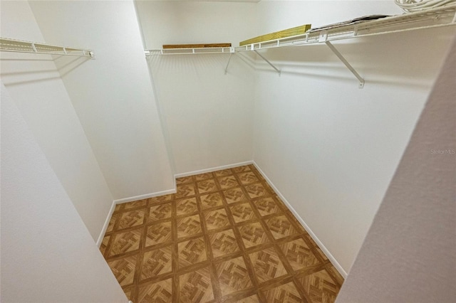 6125 113th St Unit 505, Seminole, FL 33772 - view of walk in closet