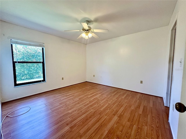 6125 113th St Unit 505, Seminole, FL 33772 - empty room featuring wood finished floors and a ceiling fan