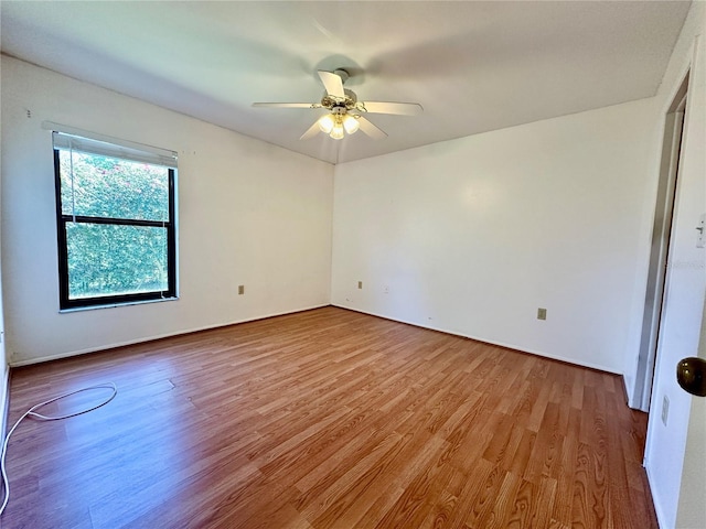 6125 113th St Unit 505, Seminole, FL 33772 - empty room with wood finished floors and a ceiling fan