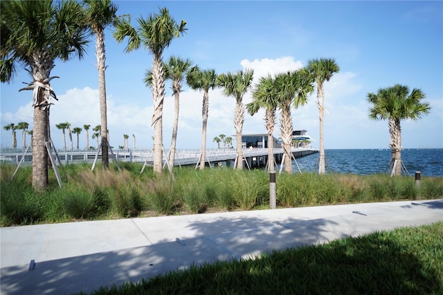 4218 2nd Ave S, Saint Petersburg, FL 33711 - photo 20