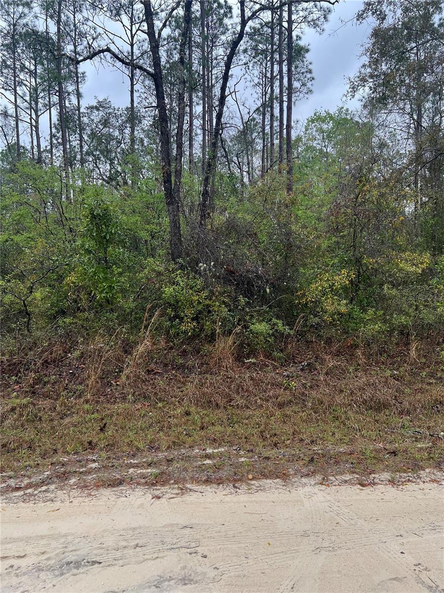 1605 NE 899th St, Old Town, FL 32680