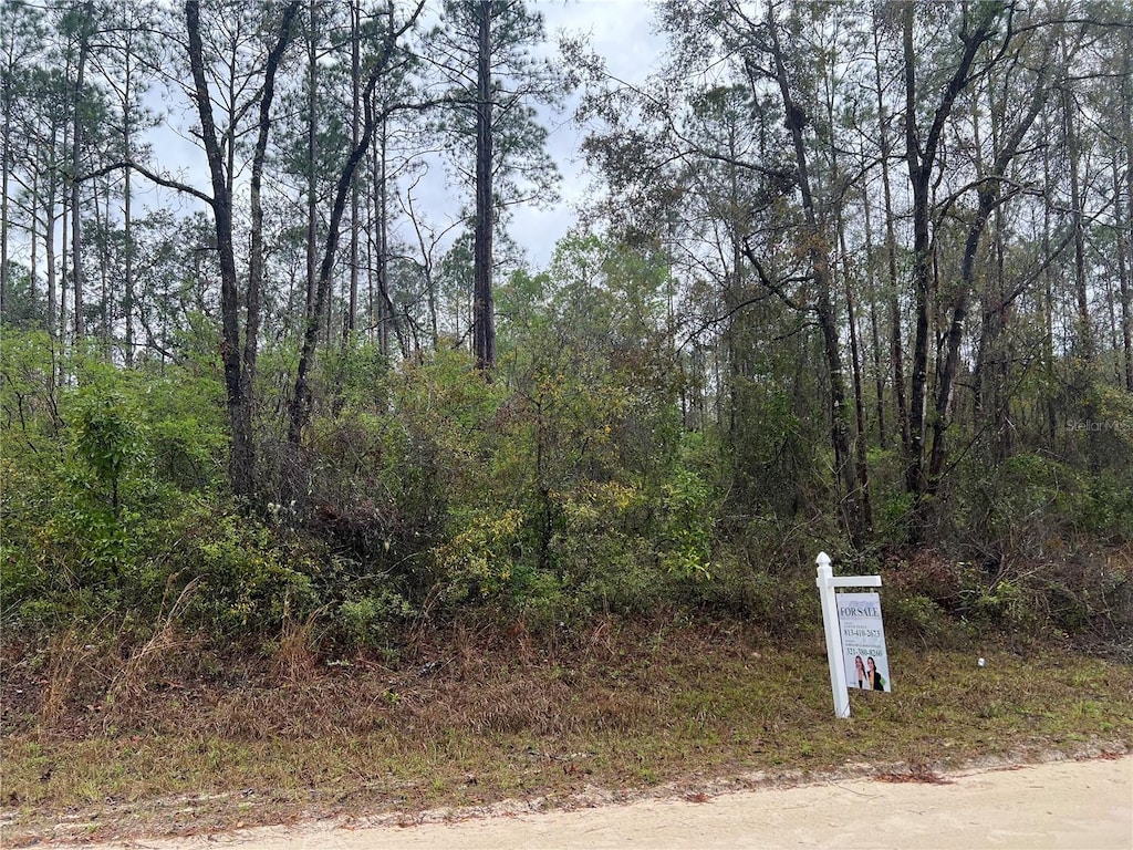 1605 NE 899th St, Old Town, FL 32680