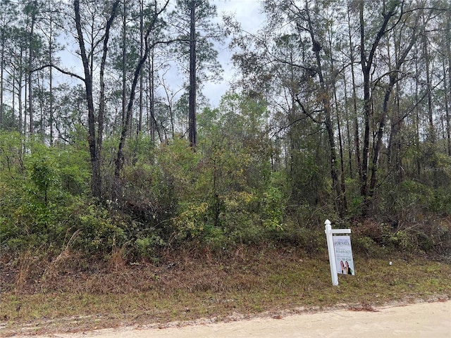 1605 NE 899th St, Old Town, FL 32680