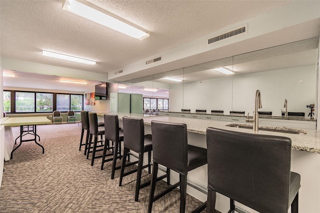 interior space with visible vents, plenty of natural light, carpet, and a sink