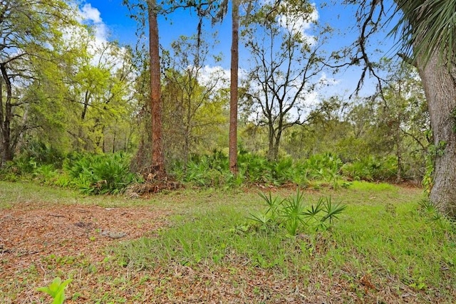 view of yard featuring a forest view