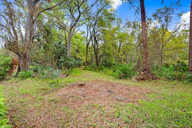 view of yard with a wooded view