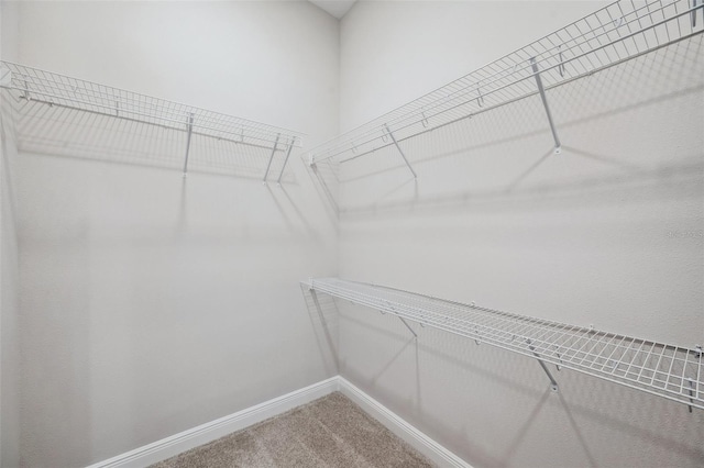 walk in closet with carpet flooring