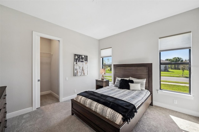 bedroom featuring a walk in closet, multiple windows, and carpet floors