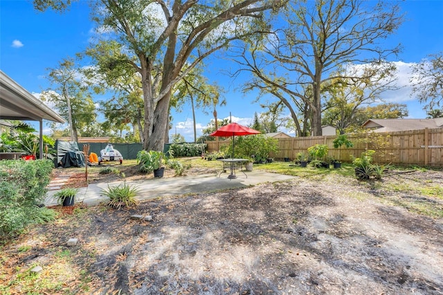 view of yard featuring a patio area and a fenced backyard