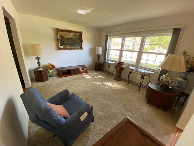 living area featuring carpet flooring