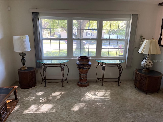 sitting room featuring a healthy amount of sunlight and carpet