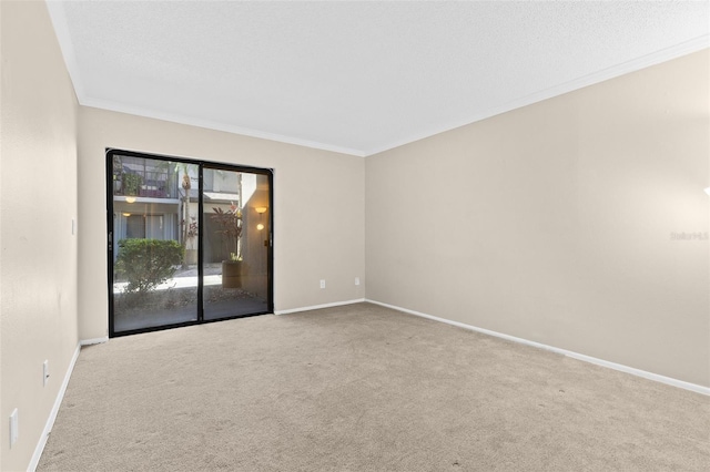 empty room with crown molding, carpet, baseboards, and a textured ceiling