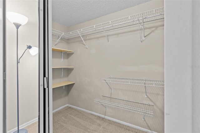 walk in closet with carpet flooring