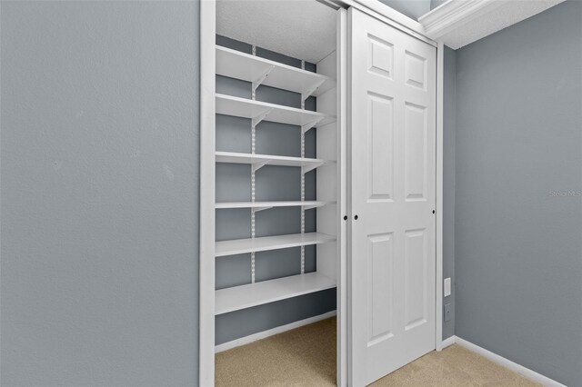 view of closet