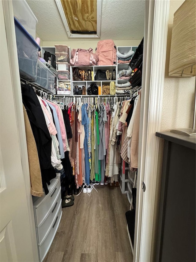 spacious closet featuring wood finished floors