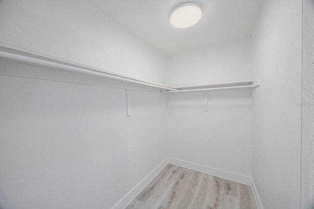 spacious closet featuring light wood finished floors