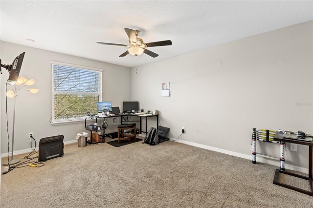 12919 Whittington Ct, Largo, FL 33773 - photo 20