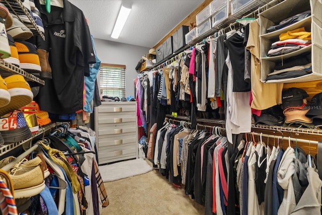 spacious closet featuring carpet flooring