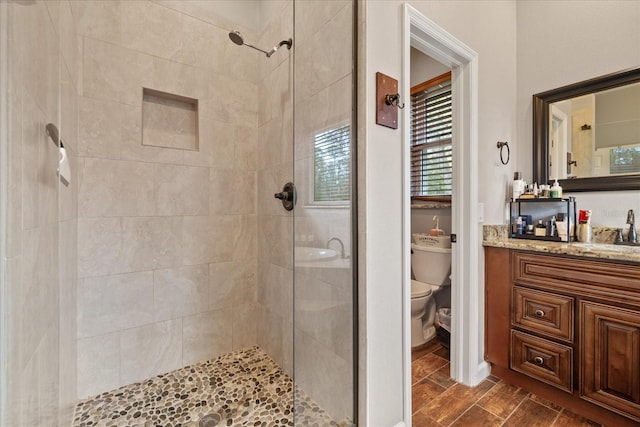 bathroom with a shower stall, toilet, vanity, and wood finish floors