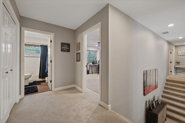 hall with carpet, baseboards, and a wealth of natural light