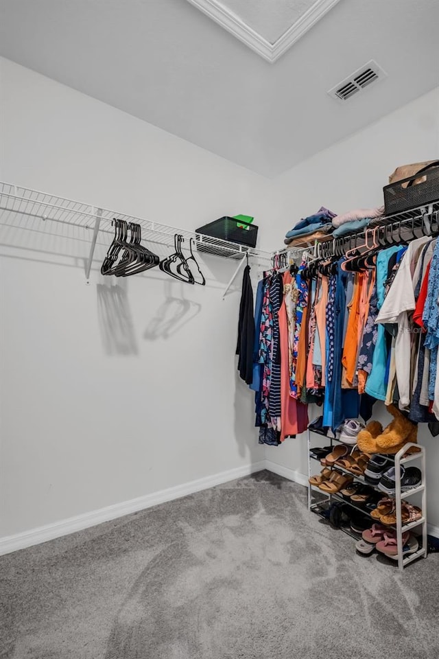 spacious closet with visible vents, attic access, and carpet floors