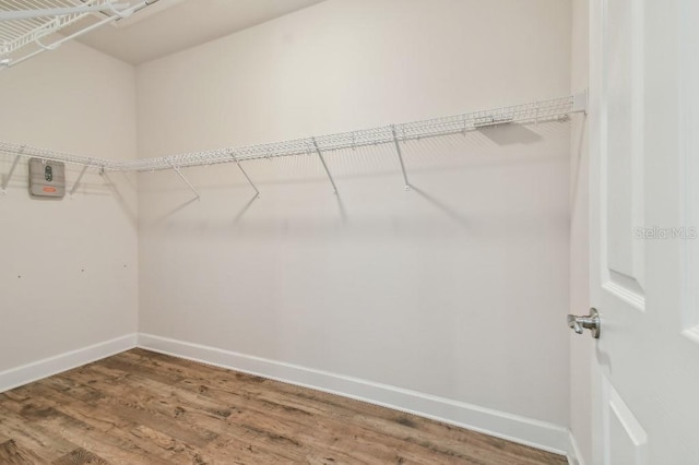 spacious closet with wood finished floors