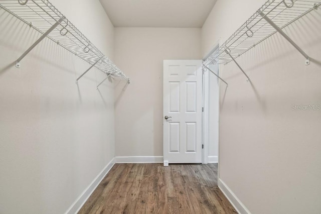 walk in closet featuring wood finished floors