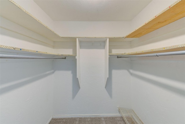 spacious closet featuring carpet flooring