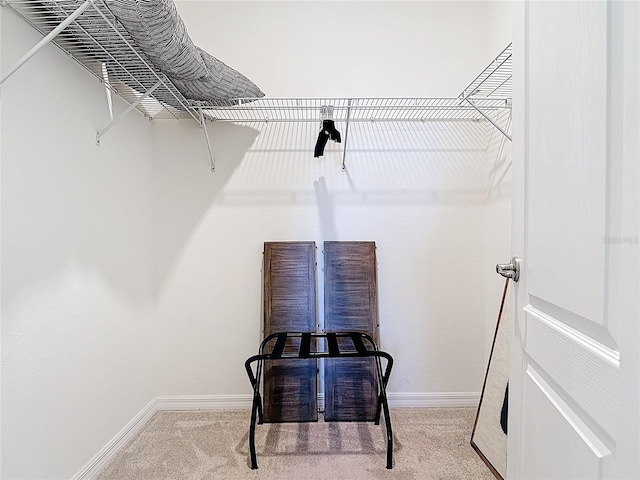 spacious closet featuring carpet floors