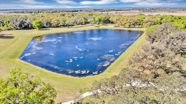 aerial view featuring a forest view and a water view