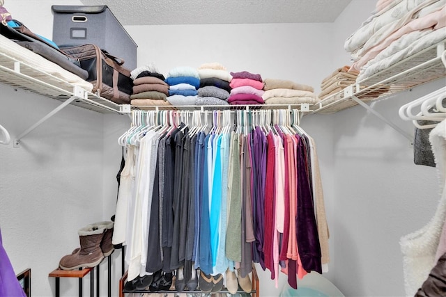 view of spacious closet