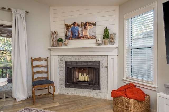 living area featuring wood finished floors, a fireplace, and a wealth of natural light