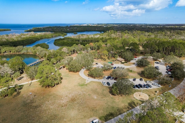 birds eye view of property featuring a view of trees and a water view