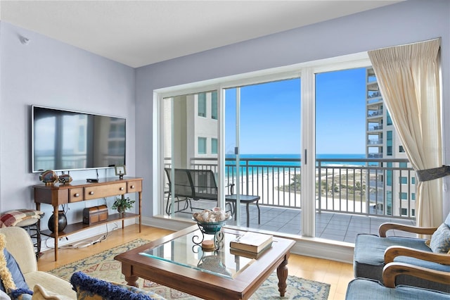 living area with a water view, a wealth of natural light, and wood finished floors