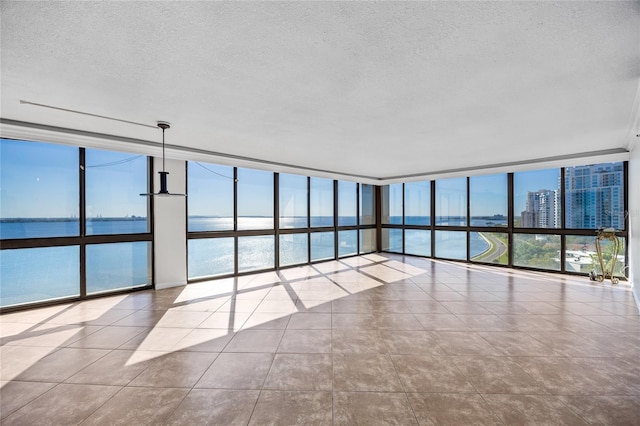 spare room with a wealth of natural light and expansive windows